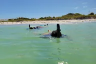 St. Petersburg Ferry to Egmont Key Experience thumbnail 3