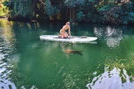 Haleiwa Stand Up Paddle Turtle Tour 90 Min thumbnail 2
