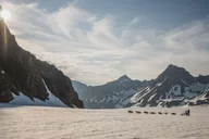 Seward Helicopter Glacier Dog Sledding Adventure 1.5 hr thumbnail 6