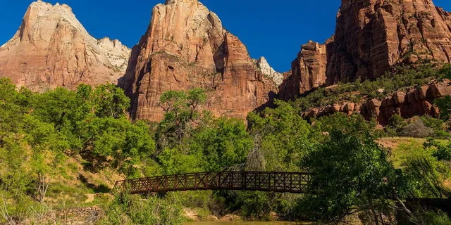 Las Vegas Zion National Park Guided Tour with Lunch - Image 5