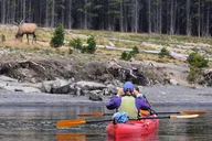 Yellowstone Kayak Tour Past Geothermal Features 4 hr thumbnail 5