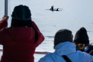 Seward Orca Quest Cruise in Resurrection Bay 4 hr thumbnail 2