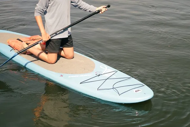 Crystal River Paddle Board Rental 4 Hr - Image 4