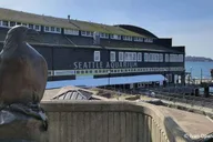 Seattle Aquarium Entry & Digital City Tour thumbnail 1