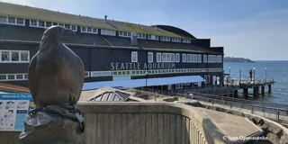 Seattle Aquarium Entry & Digital City Tour