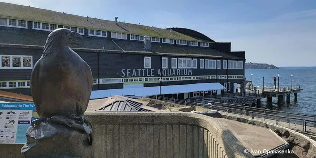 Seattle Aquarium Entry & Digital City Tour - Image 1