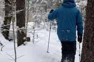 Boston Snowshoe Adventure in Western Massachusetts 8 hr thumbnail 5