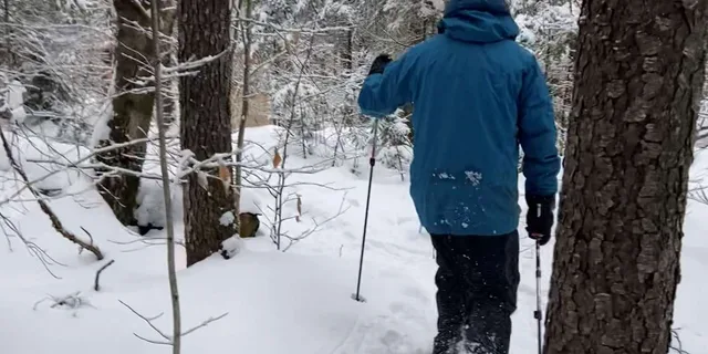 Boston Snowshoe Adventure in Western Massachusetts 8 hr - Image 5