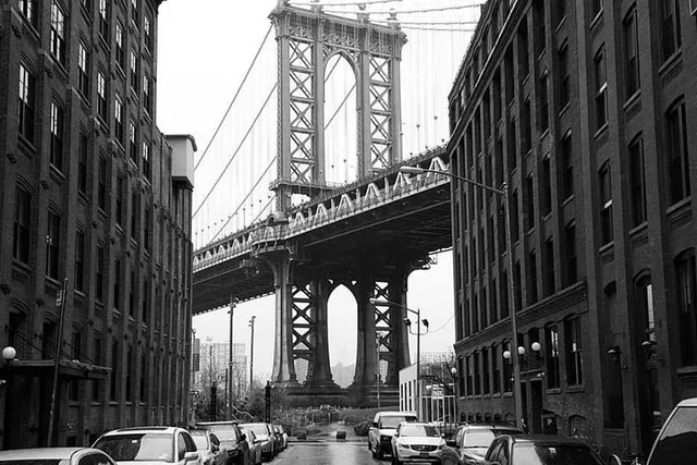 Brooklyn Walking Tour: Bridge, DUMBO, Heights - Image 5