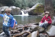 Great Smoky Mountains Clear Creek Falls Hike thumbnail 1