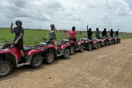 Miami ATV Tour 1-Hour thumbnail 4