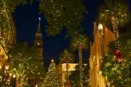 Charleston Holiday Festival of Lights Tour thumbnail 5