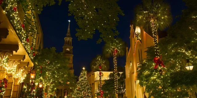 Charleston Holiday Festival of Lights Tour - Image 5