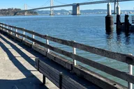 San Francisco City Tour Half-Day thumbnail 2
