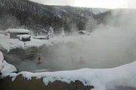 Fairbanks Chena Hot Springs Aurora Tour thumbnail 2
