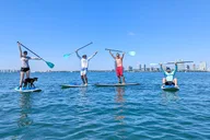 Miami Biscayne Bay Sunset Paddle thumbnail 2