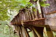 Portland Sightseeing Tour with Columbia Gorge Waterfalls thumbnail 6