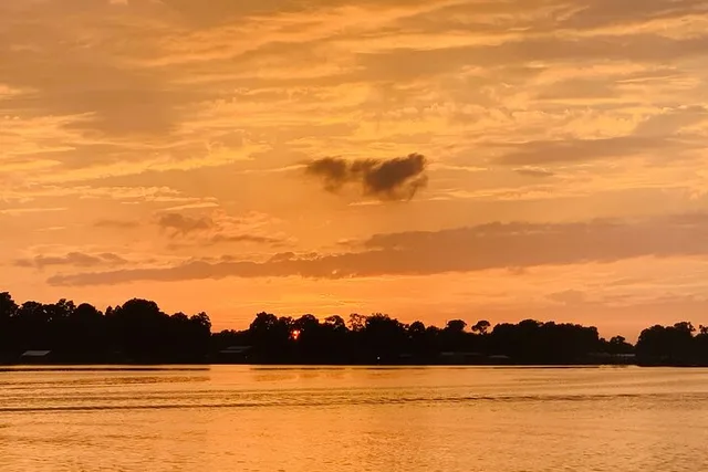 Winter Haven Pontoon Tour - Image 4