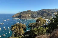 Avalon Sunset Summit Tour thumbnail 6