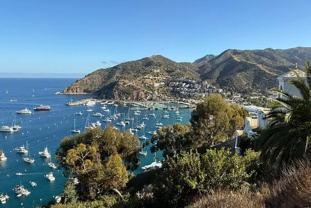 Avalon Sunset Summit Tour - Image 6