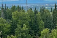 Anchorage City and Surroundings Tour 3 hr thumbnail 2