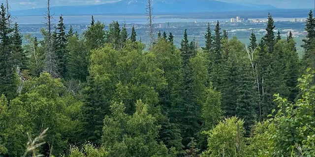 Anchorage City and Surroundings Tour 3 hr - Image 2