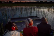 Evening Airboat Ride in Kissimmee thumbnail 4