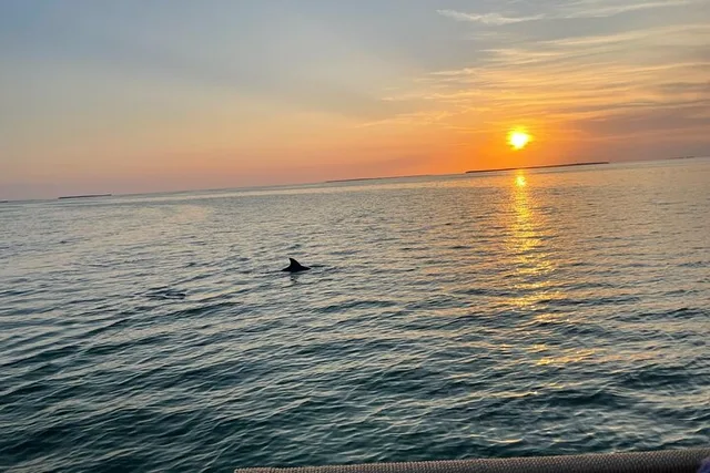 Islamorada Sunset Cruise - Image 5