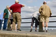 Charleston City Bus Tour and Harbor Cruise thumbnail 2