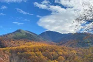 Gatlinburg Great Smoky Mountains National Park Tour 3 hr thumbnail 1
