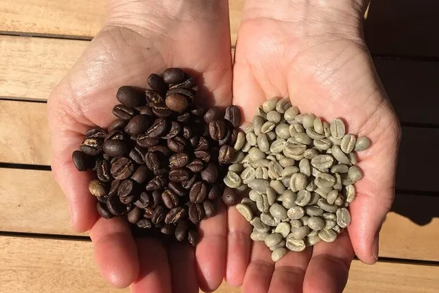 Fairfax Coffee Roasting Workshop 90 Min - Image 3