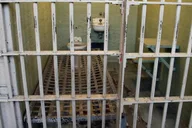 San Francisco Alcatraz Island Cruise with Audio Tour thumbnail 5