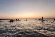 Merritt Island Comb Jelly Bioluminescence Kayak Tour thumbnail 2