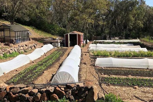 Napa Valley Farm Workshop - Image 5