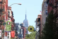 New York City Chinatown and Little Italy Food Tour thumbnail 2