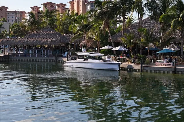 Tampa Boat Tour with Snorkeling 4 hr - Image 3