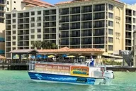 Clearwater Beach Dolphin-Watching Sunset Cruise 1.5 hr thumbnail 3