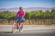 Livermore Electric Bike Rental thumbnail 1