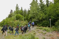 Haines Mount Riley Hike thumbnail 3