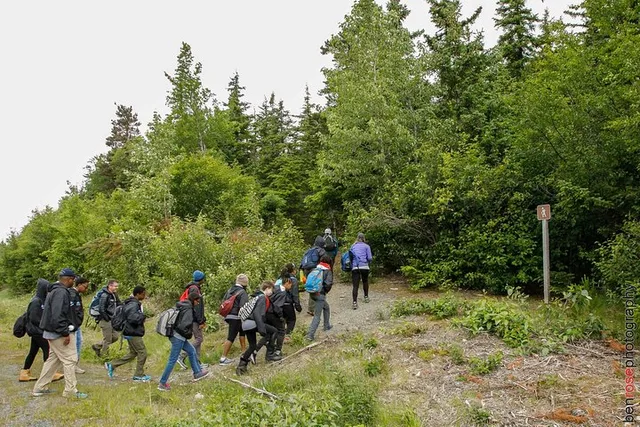 Haines Mount Riley Hike - Image 3