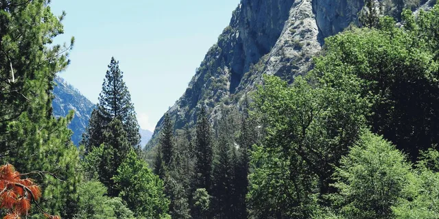 San Francisco to Los Angeles National Parks Tour - Image 2