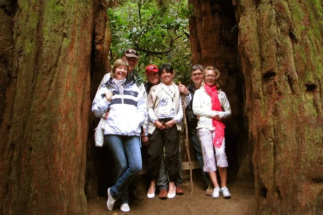 San Francisco Muir Woods and Wine Country Private Tour - Image 2