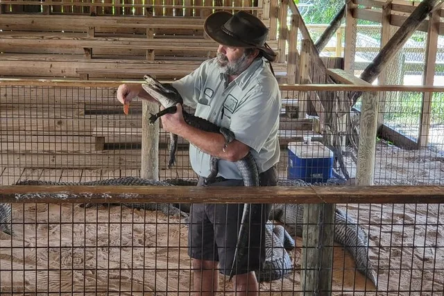 Orlando Everglades Tour with French Guide - Image 5