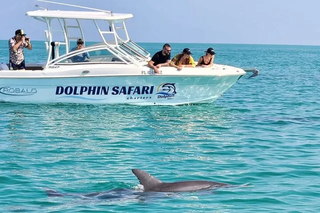 Key West Dolphin Watching and Snorkeling - Image 3