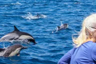 Dana Point Dolphin and Whale Watching with Underwater Viewing thumbnail 4