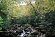 Shining Rock Guided Hike in Blue Ridge Mountains thumbnail 2