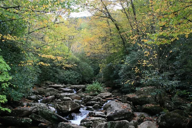 Shining Rock Guided Hike in Blue Ridge Mountains - Image 2