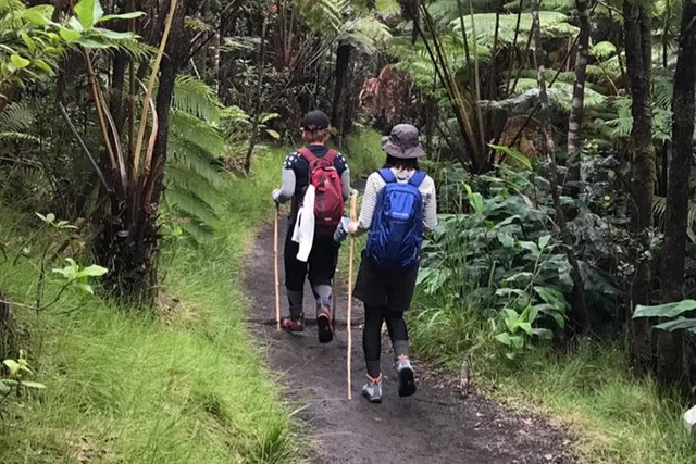 Hawaii Volcano Hiking Adventure - Image 2