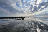 Plymouth Oyster Farm Boat Tour with Tasting thumbnail 5