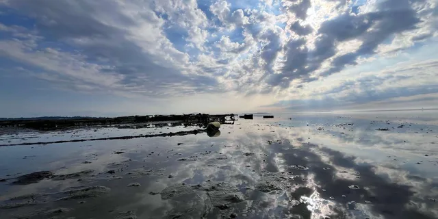Plymouth Oyster Farm Boat Tour with Tasting - Image 5